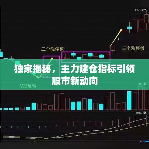 独家揭秘，主力建仓指标引领股市新动向