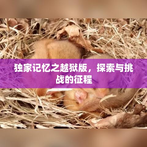 独家记忆之越狱版，探索与挑战的征程