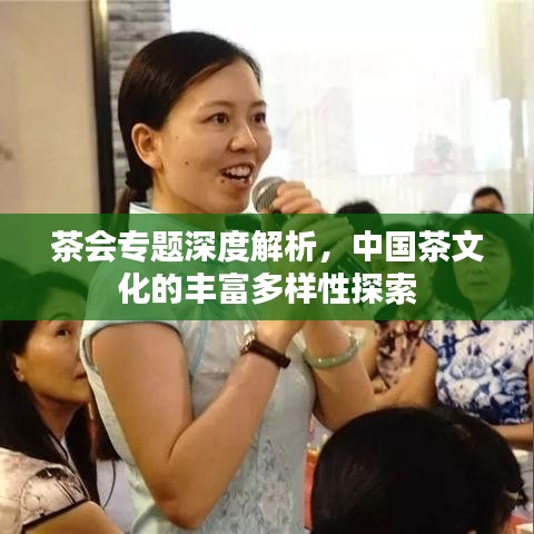 茶会专题深度解析，中国茶文化的丰富多样性探索