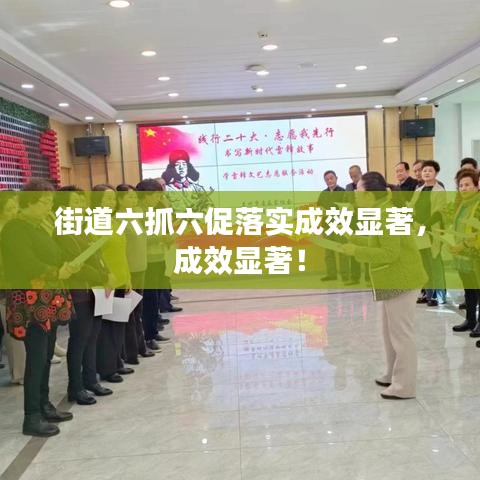 街道六抓六促落实成效显著，成效显著！