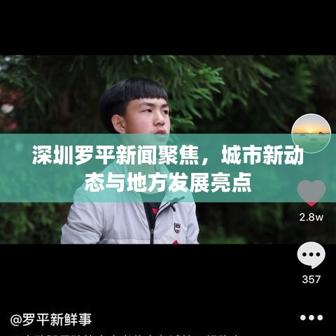 深圳罗平新闻聚焦，城市新动态与地方发展亮点