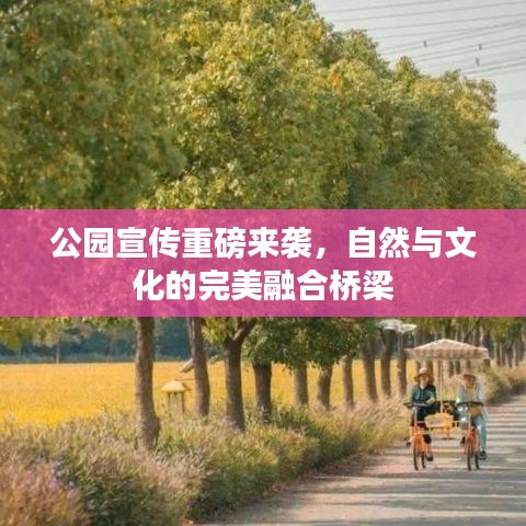 公园宣传重磅来袭，自然与文化的完美融合桥梁