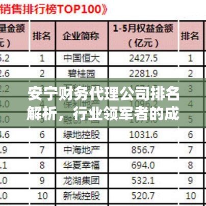 安宁财务代理公司排名解析，行业领军者的成功秘诀大揭秘！