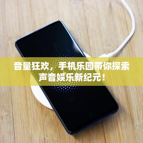 音量狂欢，手机乐园带你探索声音娱乐新纪元！