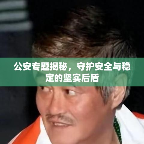公安专题揭秘，守护安全与稳定的坚实后盾