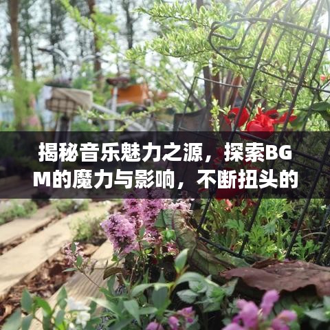 揭秘音乐魅力之源，探索BGM的魔力与影响，不断扭头的韵律震撼