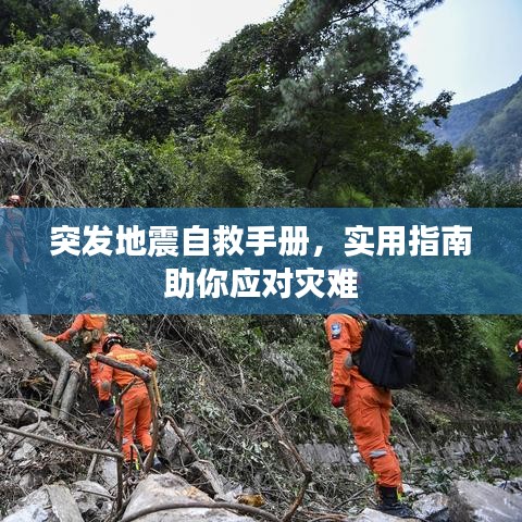 突发地震自救手册，实用指南助你应对灾难