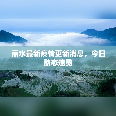 丽水最新疫情更新消息，今日动态速览