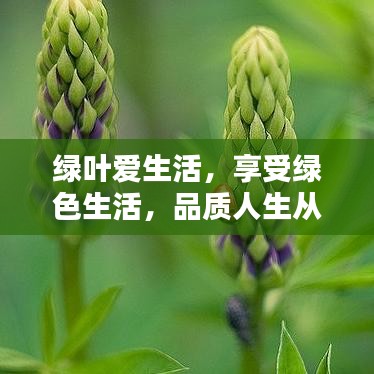 绿叶爱生活，享受绿色生活，品质人生从这里开始！