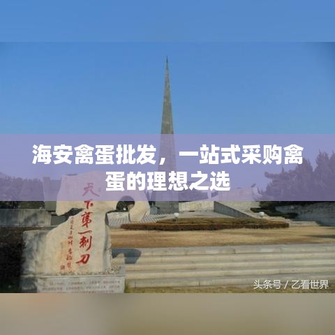 海安禽蛋批发，一站式采购禽蛋的理想之选