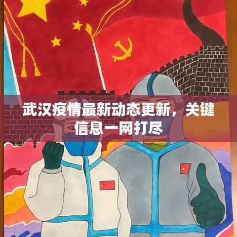武汉疫情最新动态更新，关键信息一网打尽