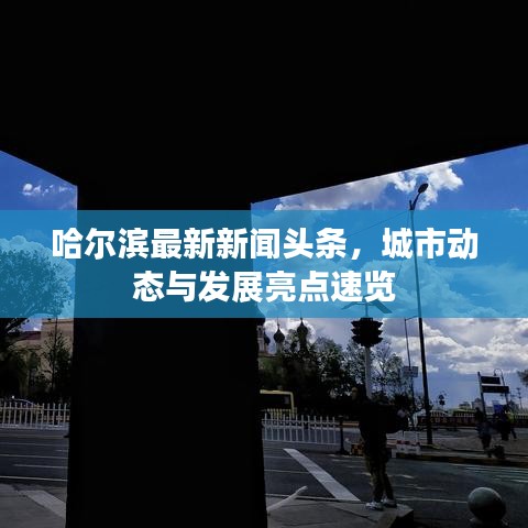哈尔滨最新新闻头条，城市动态与发展亮点速览