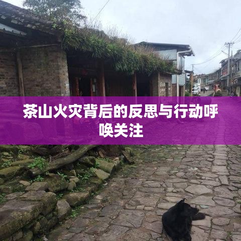 茶山火灾背后的反思与行动呼唤关注