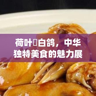 荷叶焗白鸽，中华独特美食的魅力展现