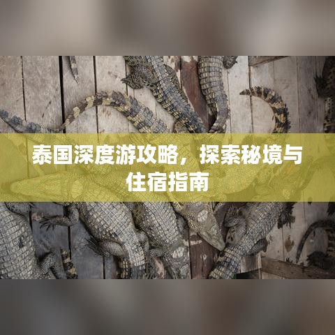 泰国深度游攻略，探索秘境与住宿指南