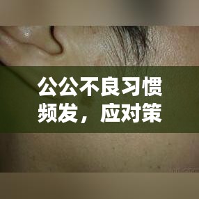 公公不良习惯频发，应对策略与改善方法探讨