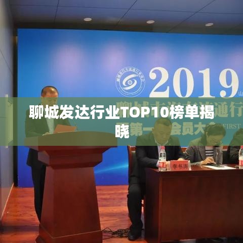 聊城发达行业TOP10榜单揭晓