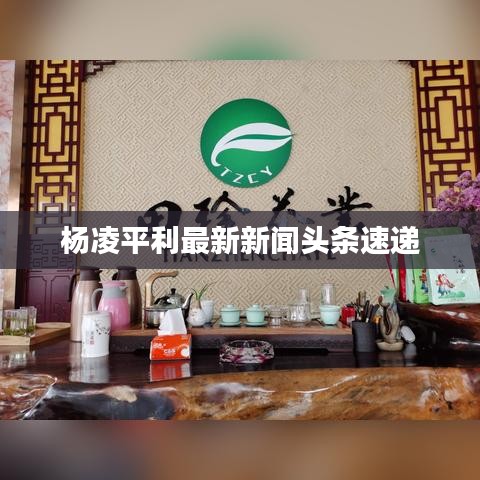 杨凌平利最新新闻头条速递