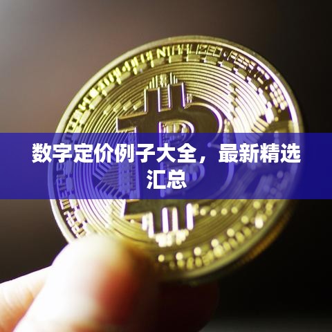 数字定价例子大全，最新精选汇总