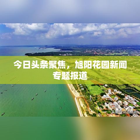 今日头条聚焦，旭阳花园新闻专题报道