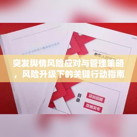 突发舆情风险应对与管理策略，风险升级下的关键行动指南
