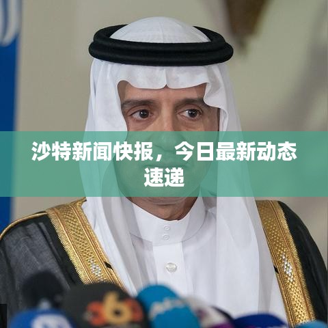沙特新闻快报，今日最新动态速递