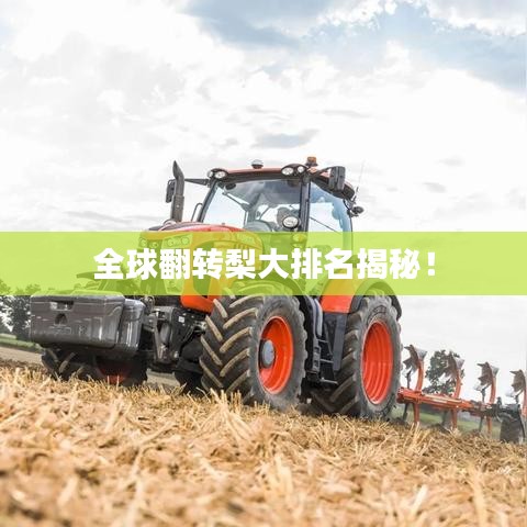 全球翻转梨大排名揭秘！