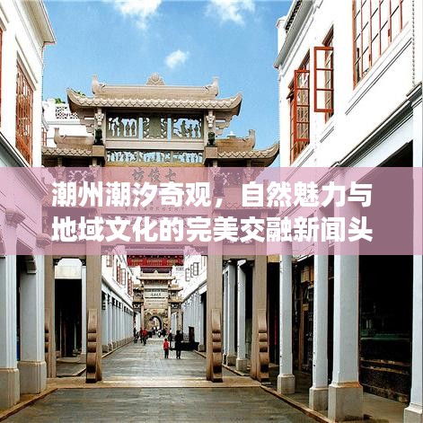 潮州潮汐奇观，自然魅力与地域文化的完美交融新闻头条