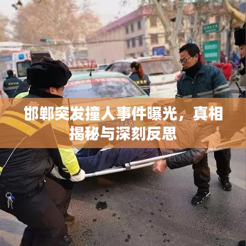 邯郸突发撞人事件曝光，真相揭秘与深刻反思