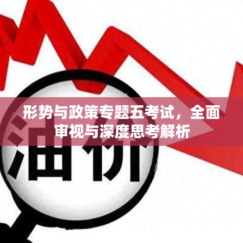 形势与政策专题五考试，全面审视与深度思考解析