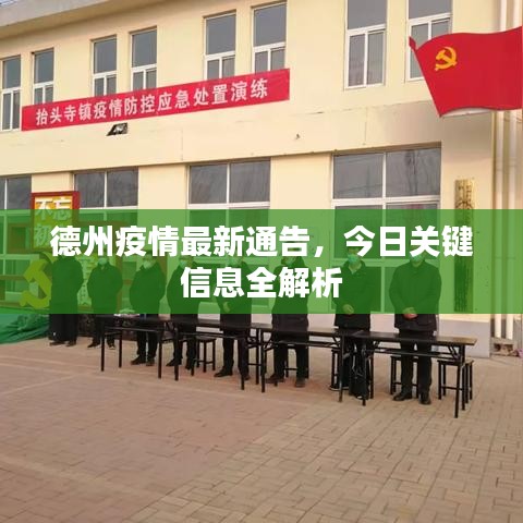 德州疫情最新通告，今日关键信息全解析