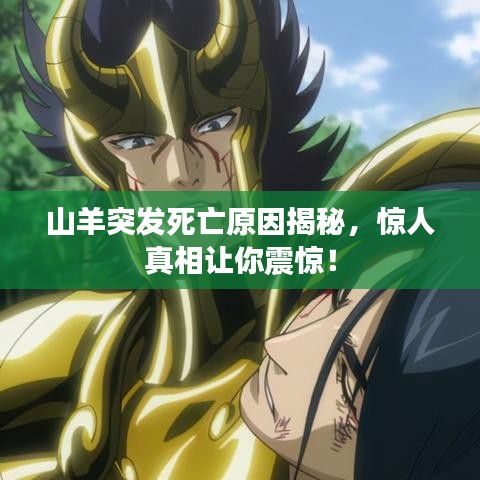 山羊突发死亡原因揭秘，惊人真相让你震惊！
