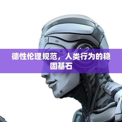 德性伦理规范，人类行为的稳固基石