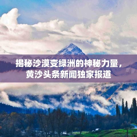 揭秘沙漠变绿洲的神秘力量，黄沙头条新闻独家报道