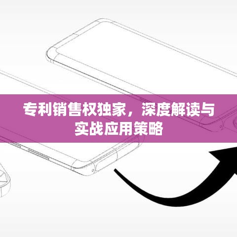 专利销售权独家，深度解读与实战应用策略