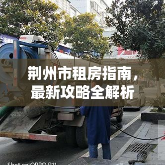 荆州市租房指南，最新攻略全解析
