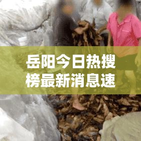 岳阳今日热搜榜最新消息速递