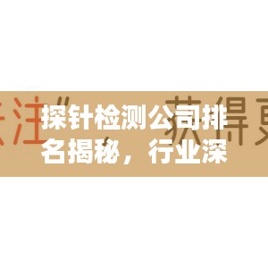 探针检测公司排名揭秘，行业深度分析与趋势预测