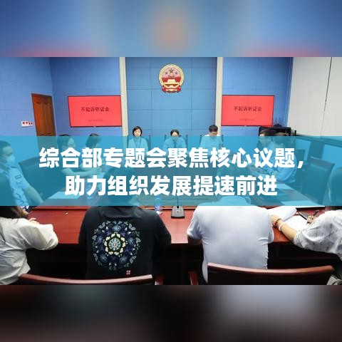 综合部专题会聚焦核心议题，助力组织发展提速前进