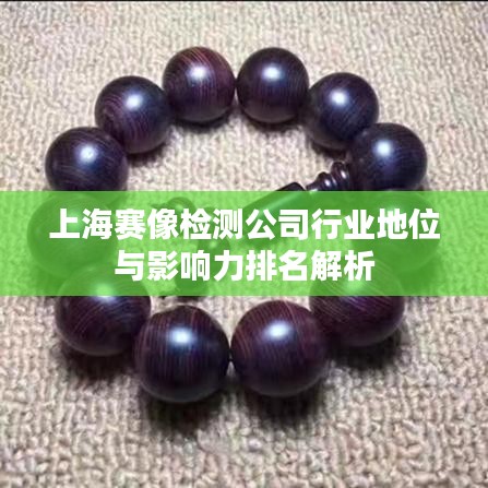 上海赛像检测公司行业地位与影响力排名解析