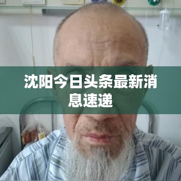 沈阳今日头条最新消息速递