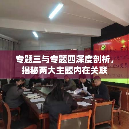 专题三与专题四深度剖析，揭秘两大主题内在关联