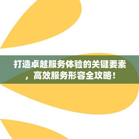 打造卓越服务体验的关键要素，高效服务形容全攻略！