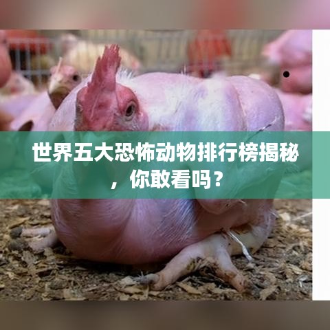 世界五大恐怖动物排行榜揭秘，你敢看吗？
