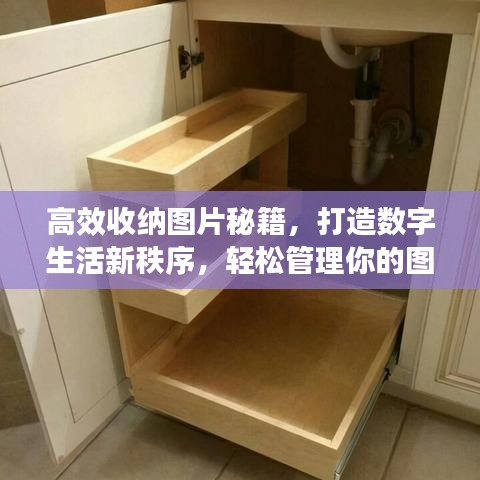 高效收纳图片秘籍，打造数字生活新秩序，轻松管理你的图片世界！