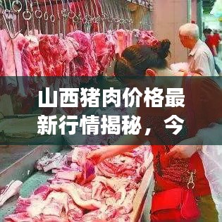 山西猪肉价格最新行情揭秘，今日市场走势分析