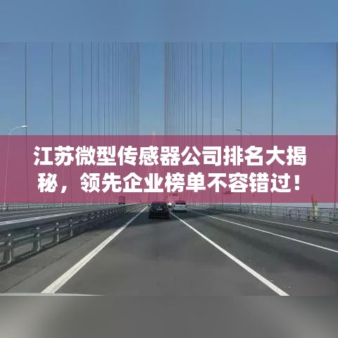 江苏微型传感器公司排名大揭秘，领先企业榜单不容错过！