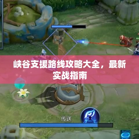 峡谷支援路线攻略大全，最新实战指南