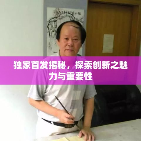 独家首发揭秘，探索创新之魅力与重要性