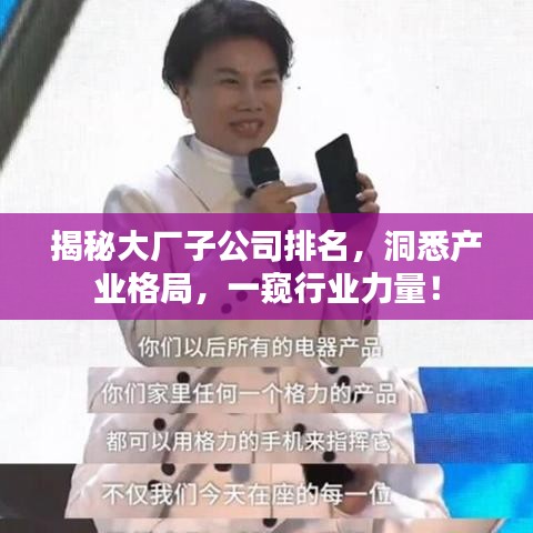 揭秘大厂子公司排名，洞悉产业格局，一窥行业力量！